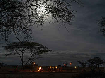Serengeti Sametu Camp: Sternenhimmel Serengeti Sametu Camp: Sternenhimmel