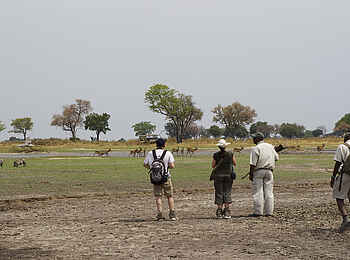 Shinde Lodge: Lechwe