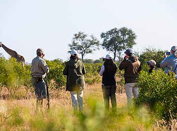 Inyati Game Lodge: Buschwalk