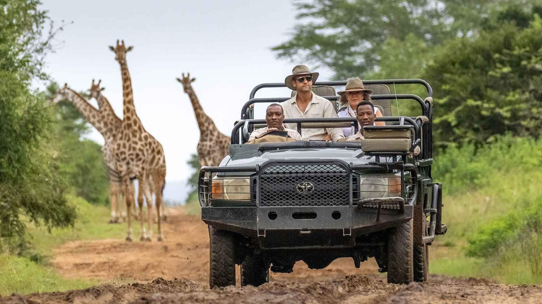 andBeyond Phinda Vlei Lodge: Giraffen auf Pirschfahrt treffen andBeyond Phinda Vlei Lodge: Giraffen auf Pirschfahrt treffen