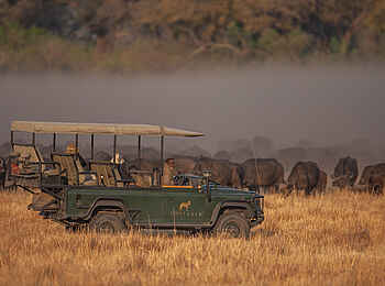 Chitabe Lediba Camp: Pirschfahrt