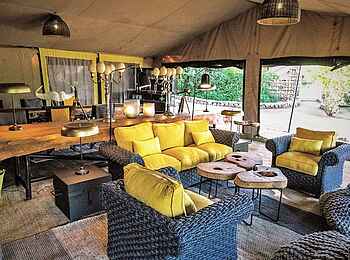 Forest Chem Chem: Hauptzelt mit Lounge Forest Chem Chem: Hauptzelt mit Lounge