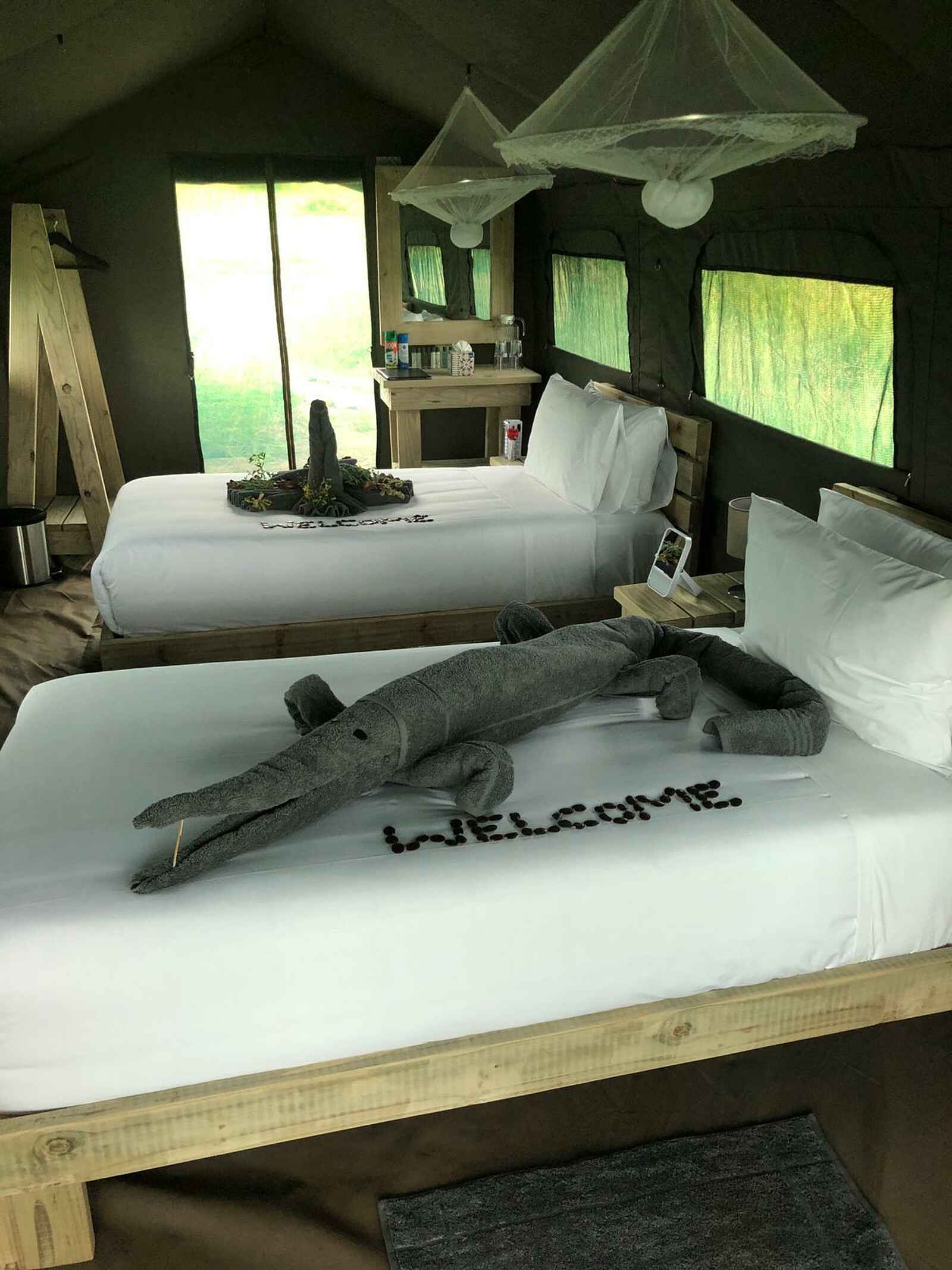 Great Tsau Hill Camp: Zeltinneres Great Tsau Hill Camp: Zeltinneres