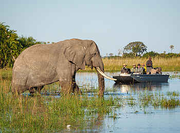 Kwetsani Camp: Bootsfahrt mit Elefant