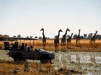 Kwetsani Camp: Giraffen beobachten auf Pirschfahrt