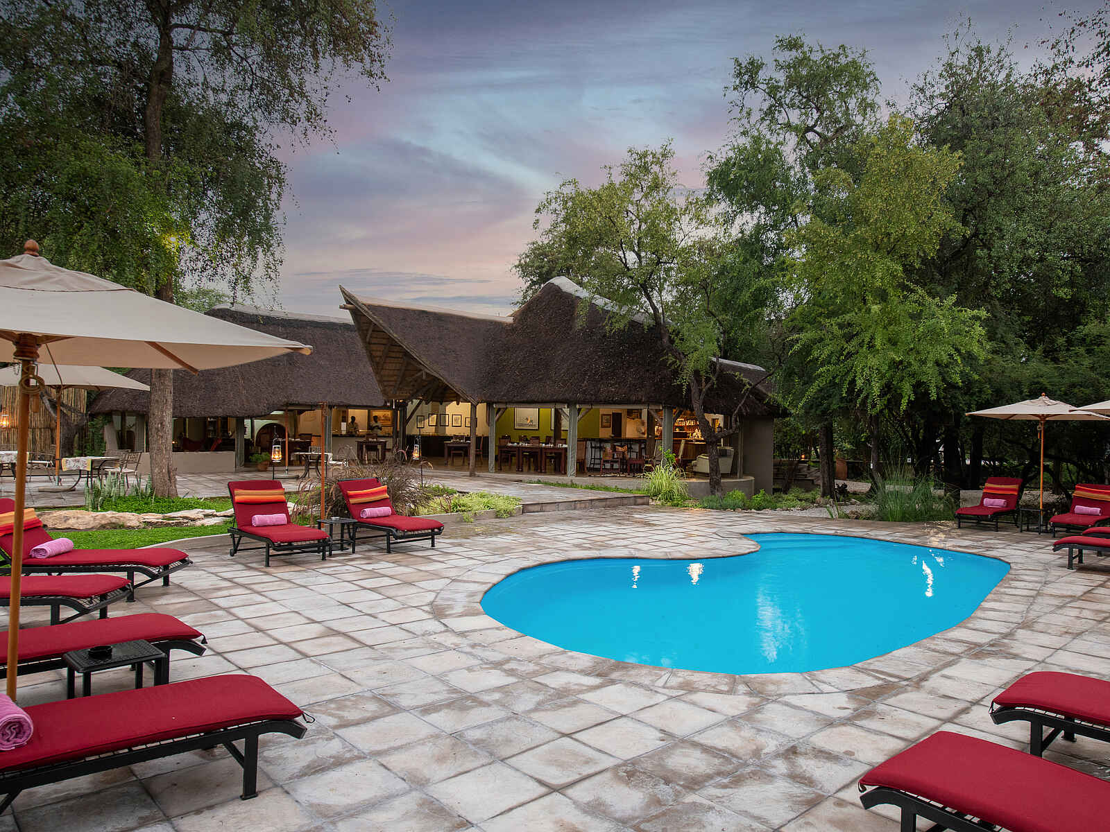 Onguma Forest Camp: Poolbereich mit Sonnenliegen Onguma Forest Camp: Poolbereich mit Sonnenliegen