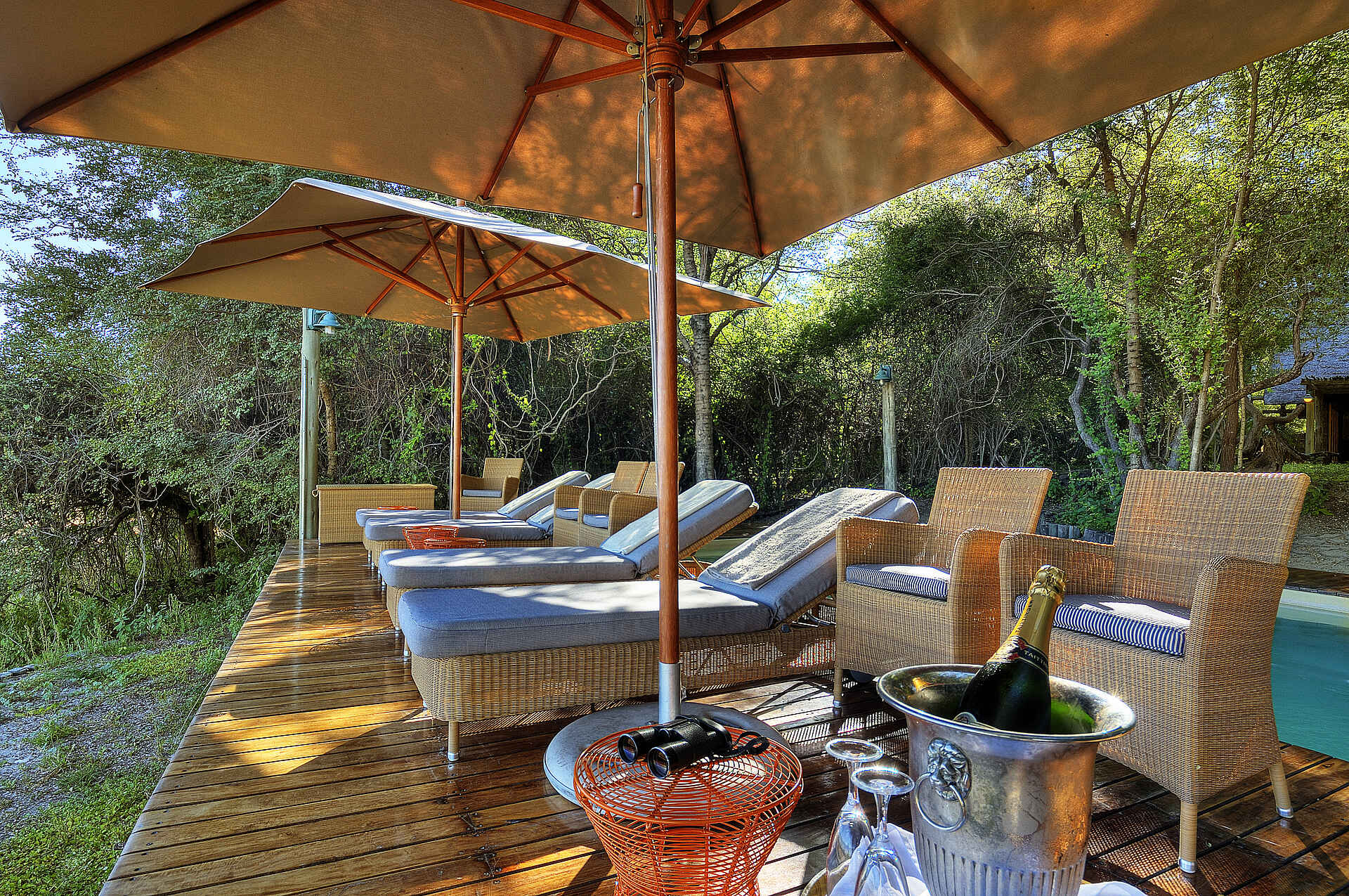 Savute Safari Lodge: Liegestühle