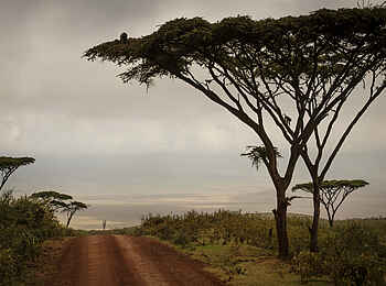 The Highlands Camp: Ngorongoro-Landschaft