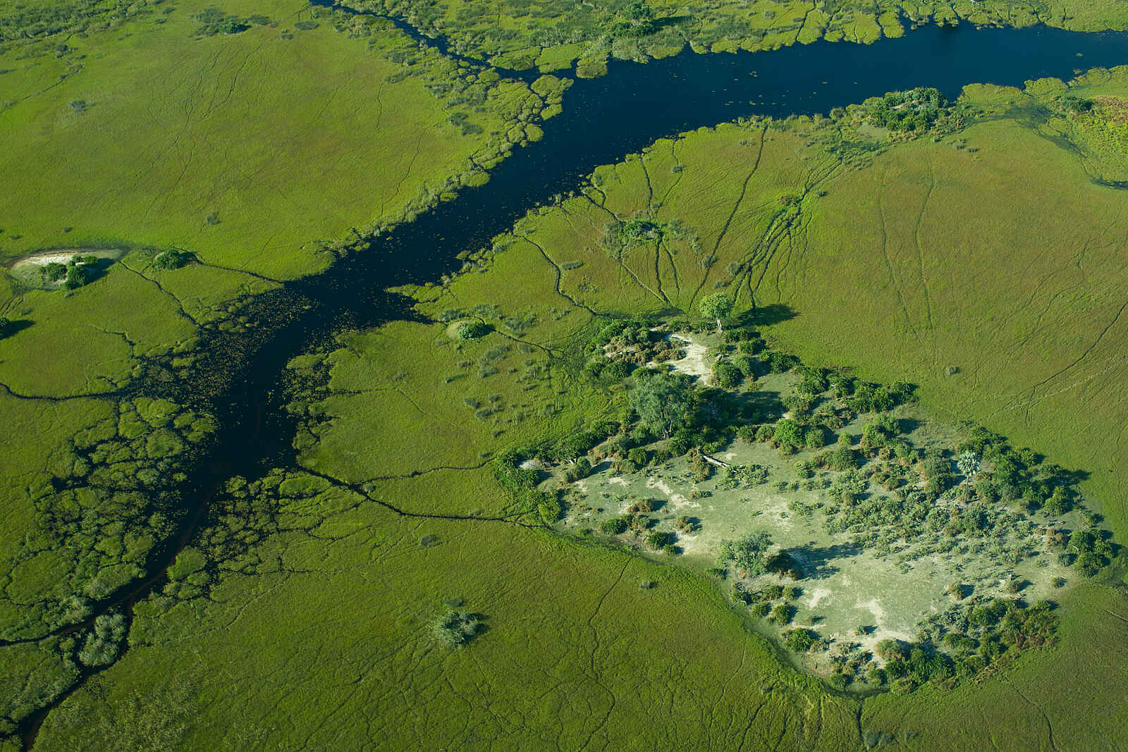 Bushman Plains Camp: Delta-Landschaft Bushman Plains Camp: Delta-Landschaft