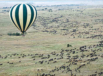 Naibor Camp: Ballonrundflug über den Gnus Naibor Camp: Ballonrundflug über den Gnus