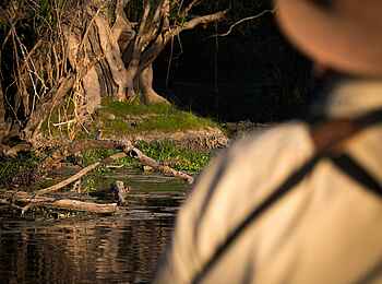 Ntemwa Busanga Bushcamp: Malachite Kingfisher