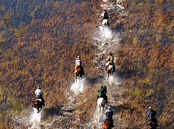 Macatoo Camp: Überflutete Wiese