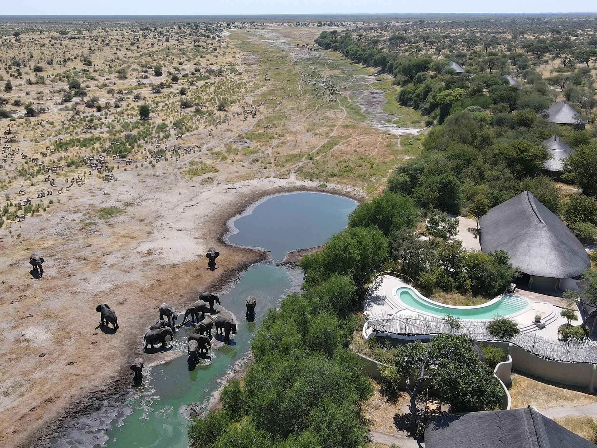 Moela Safari Lodge: Die Lodge aus der Vogelperspektive Moela Safari Lodge: Die Lodge aus der Vogelperspektive