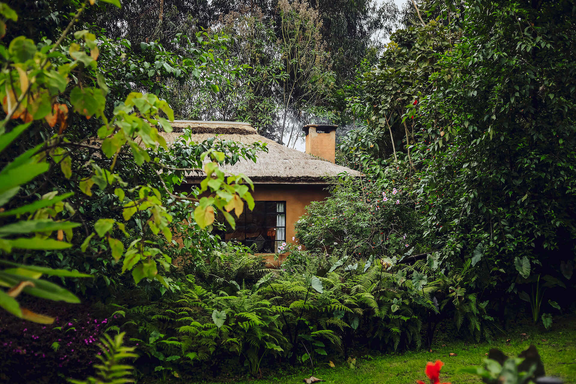 Sambora Kinigi Lodge: verstecktes Cottage Sambora Kinigi Lodge: verstecktes Cottage