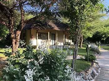 Shametu River Lodge: Blumen