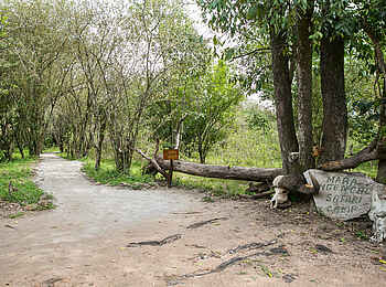 Mara Ngenche Camp: Vorfahrt
