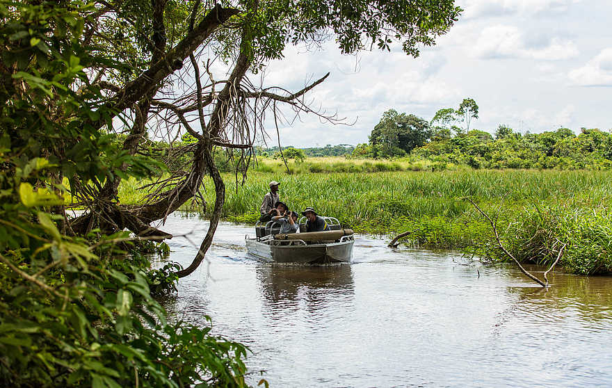 Mboko Camp: Bootsfahrt in einen kleinen Seitenarm Mboko Camp: Bootsfahrt in einen kleinen Seitenarm