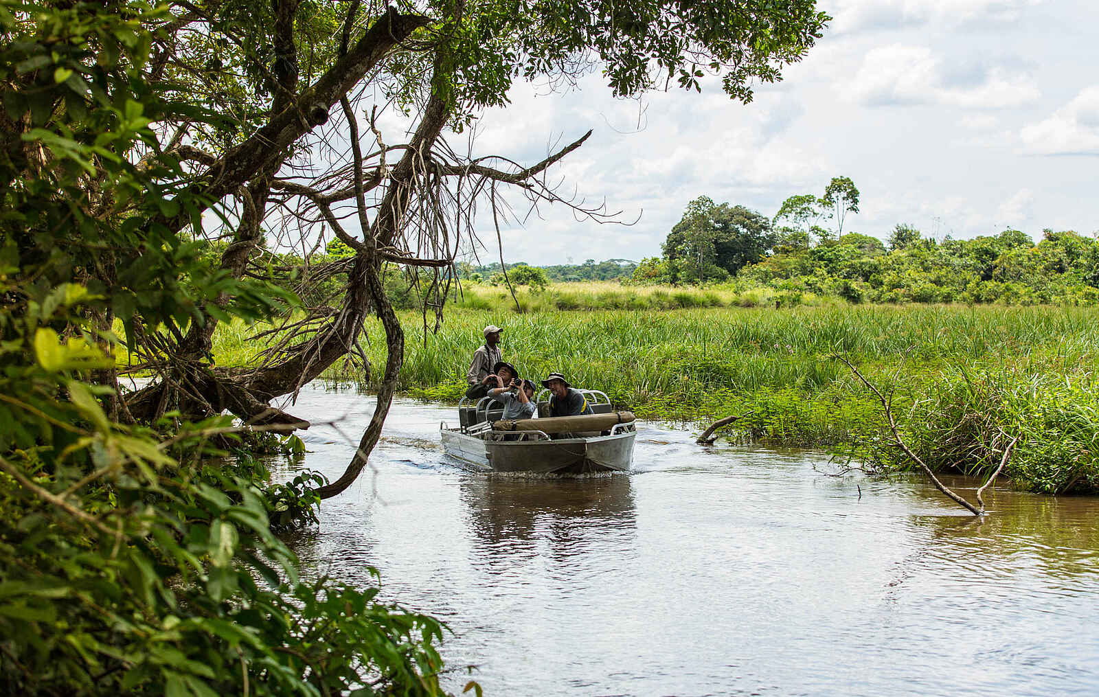 Mboko Camp: Bootsfahrt in einen kleinen Seitenarm Mboko Camp: Bootsfahrt in einen kleinen Seitenarm