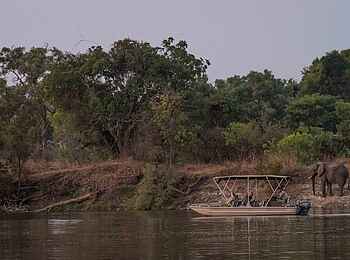 Ntema Busanga Bushcamp: Elefanten am Flussufer bei einer Bootstour