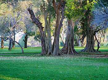 Tuli Safari Lodge Mashatu: Lodge-Gelände