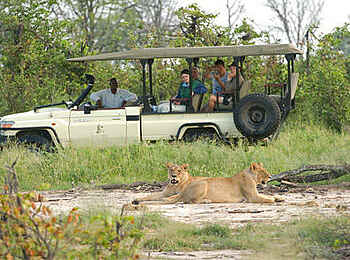 Baines Lodge: Begegnung mit Löwen bei einer Pirschfahrt Baines Lodge: Begegnung mit Löwen bei einer Pirschfahrt