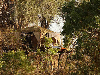 Beho Beho Camp: Das Baumhaus von Außen