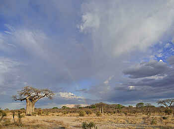 Jabali Private House: Camp Umgebung