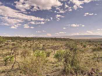 Kicheche Valley Camp: Die Landschaft der Masai Mara Kicheche Valley Camp: Die Landschaft der Masai Mara