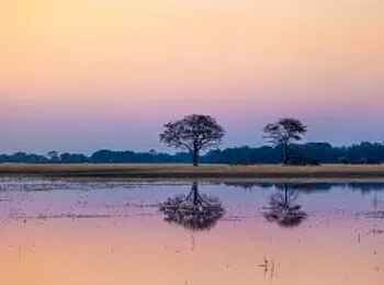 Luiana Plains Expedition Camp: Reflektionen auf der Wasseroberfläche