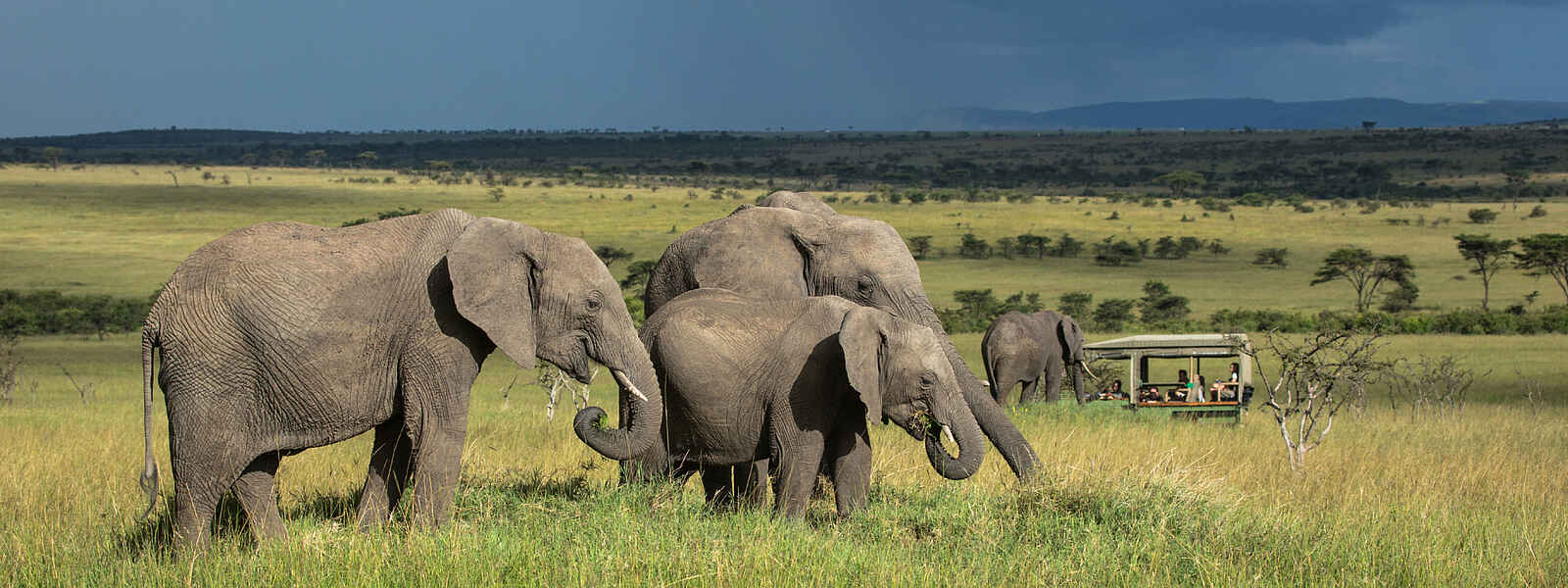 Mara Expedition Camp: Elefantenbegegnung Mara Expedition Camp: Elefantenbegegnung