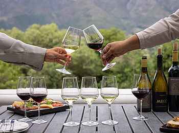 Mont Rochelle Hotel and Vineyard: Weinverkostung