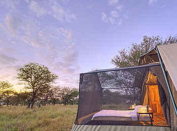 Olakira Migration Camp: Star Gazing Tent Bett