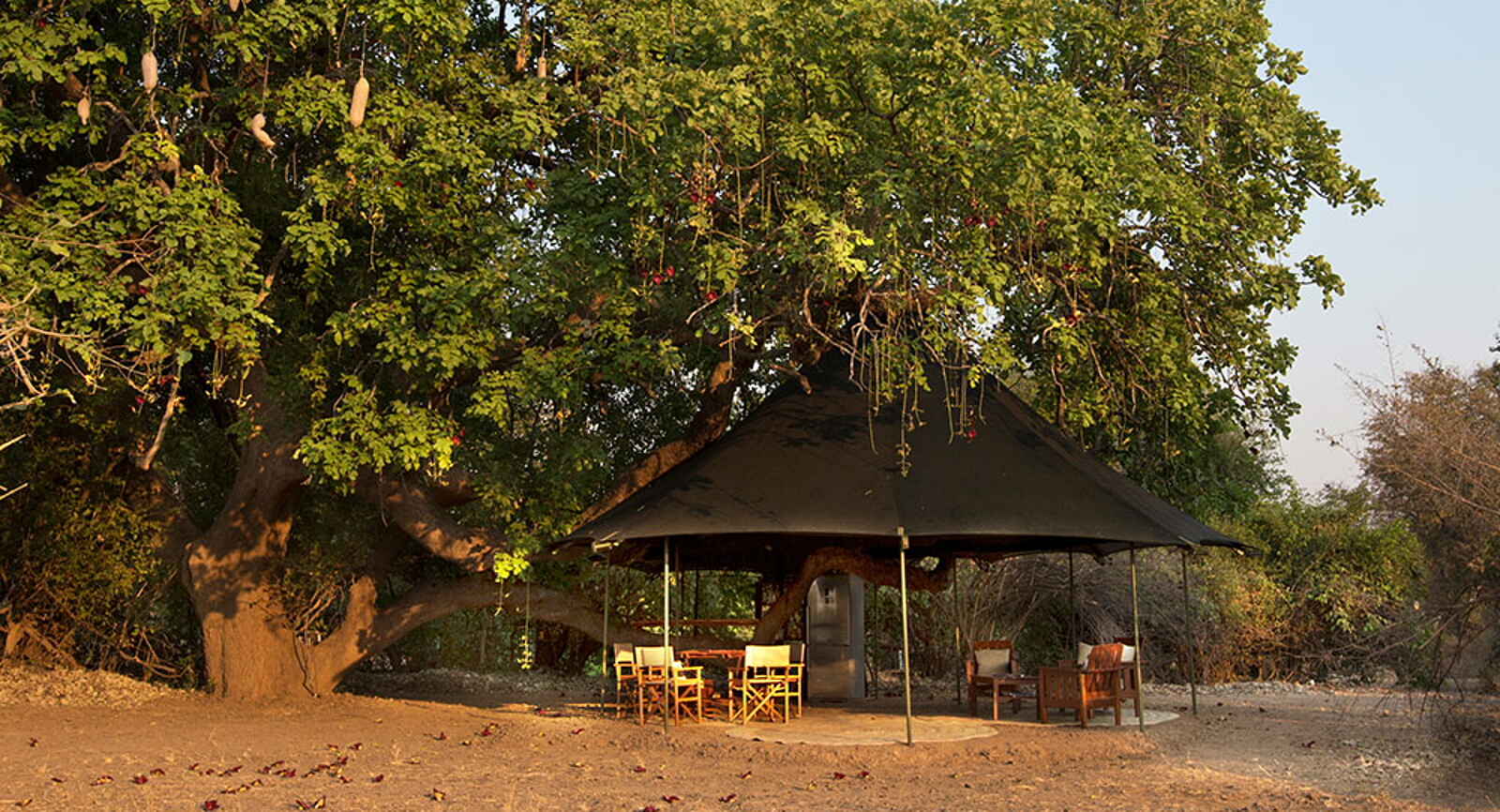 Mapazi Camp: Chitenje unter Sausage Tree Mapazi Camp: Chitenje unter Sausage Tree