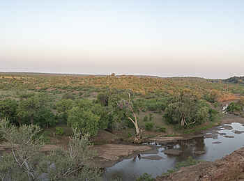 Mashatu Euphorbia Villas: Panorama des Majale River