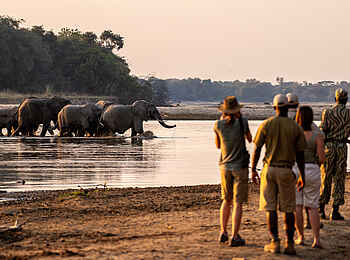 Takwela Camp: Walking am Luangwa River Takwela Camp: Walking am Luangwa River