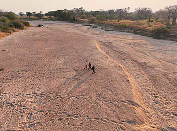 Charlie Ruaha Safari Camp: Wanderung im trockenen Flußbett