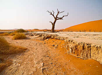 Desert Homestead Outpost: Trockenes Sossusvlei
