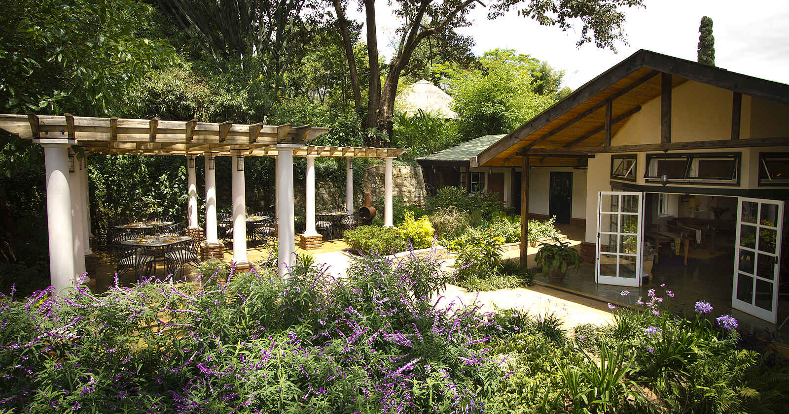 Gibbs Farm: Blick aufs Haupthaus Gibbs Farm: Blick aufs Haupthaus