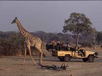 Kafunta River Lodge: Game Drive