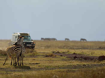 Laba Ngorongoro Lodge: Eine Pirschfahrt Laba Ngorongoro Lodge: Eine Pirschfahrt