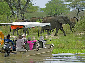Lake Manze Camp: Elefanten vom Wasser aus Lake Manze Camp: Elefanten vom Wasser aus