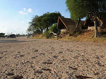Mwagusi Safari Camp: Im Flussbett