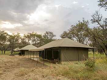 Naona Moru Camp: Seitenansicht der Gästezelte