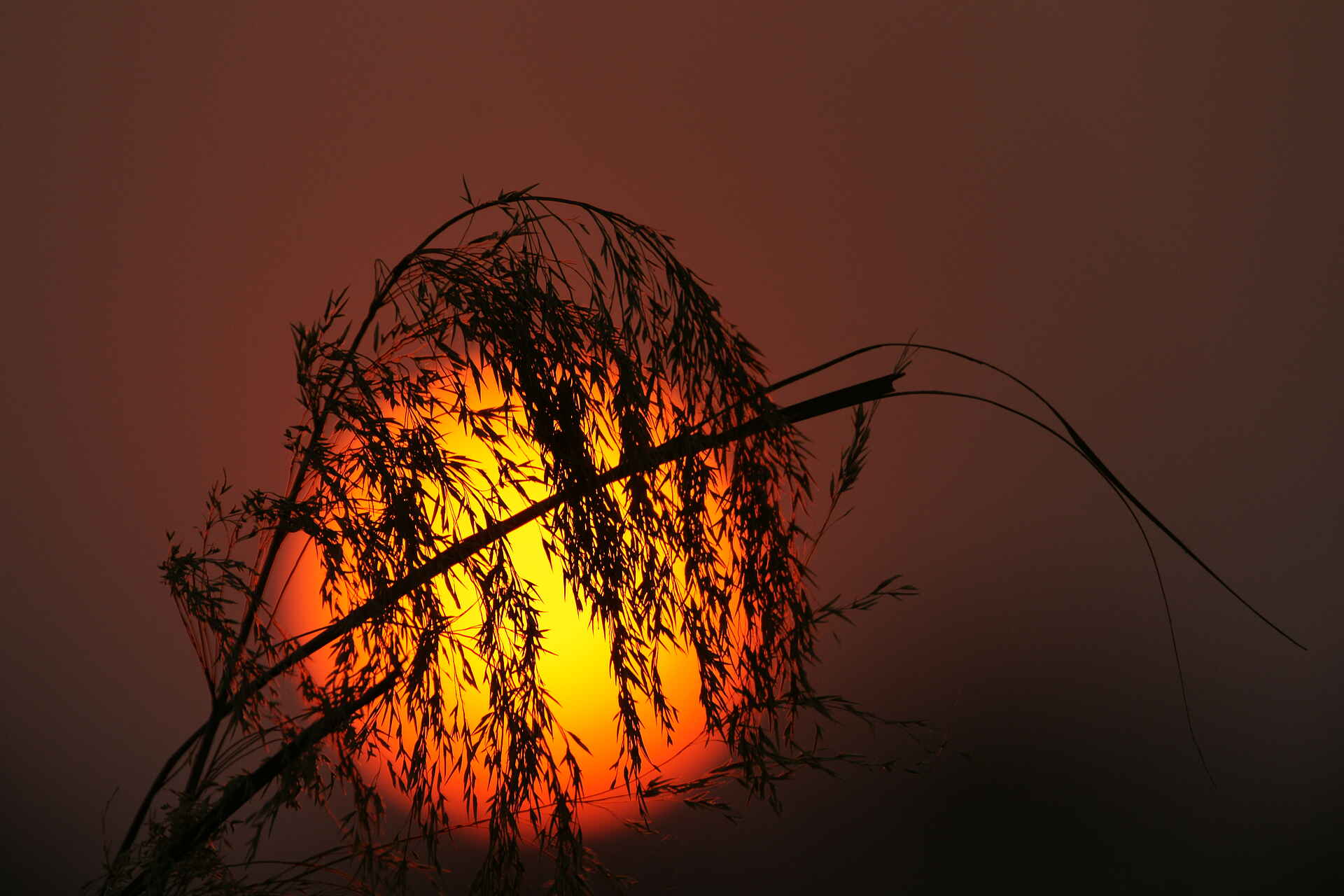 Caprivi, Kavango, Ndhovu Safari Lodge, Okavango, Panhandle, Sonnenaufgang, Afrikarma, Afrikarma Safaris, Afrikarma.de, Horst Kock