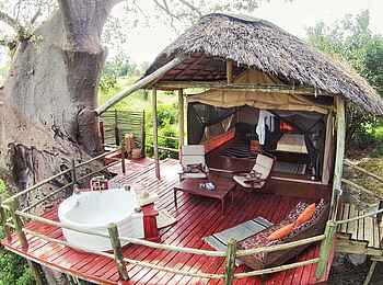 Tarangire River Camp: Deluxe Suite Tarangire River Camp: Deluxe Suite