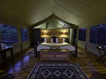 Tubu Tree: Gästezelt Tubu Tree: Gästezelt