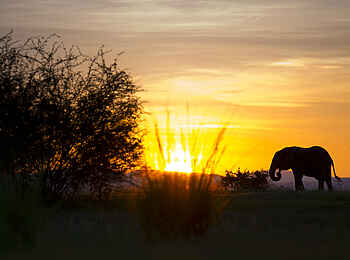 Kanyemba Lodge: Eine Silhouette vor dem Sonnenuntergang Kanyemba Lodge: Eine Silhouette vor dem Sonnenuntergang