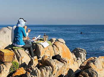 Grootbos Garden Lodge: Whale Watching vom Land aus Grootbos Garden Lodge: Whale Watching vom Land aus