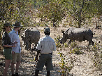 Khayelitshe House: Pirschgang Khayelitshe House: Pirschgang