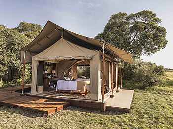 Little Elephant Pepper Camp: Spazelt